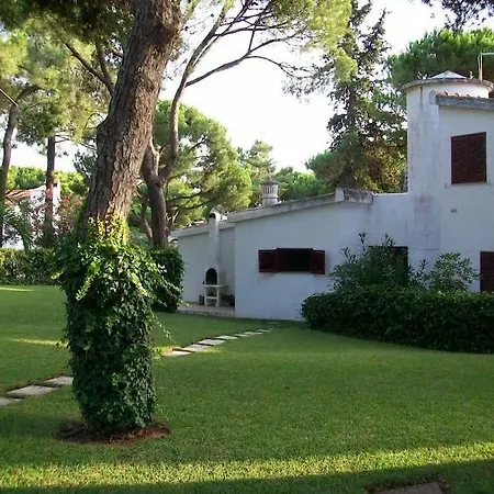 House With Beautiful Garden And Swimming Pool Quarteira